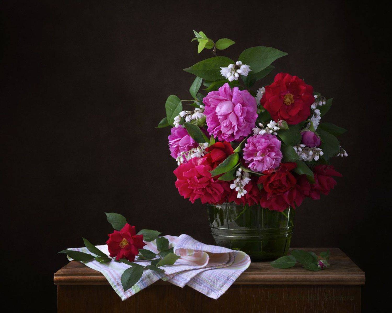 , Анжелика Королева