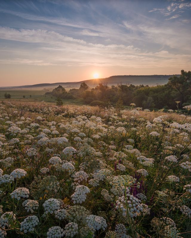 Рассвет в Ульяновской области фото превью