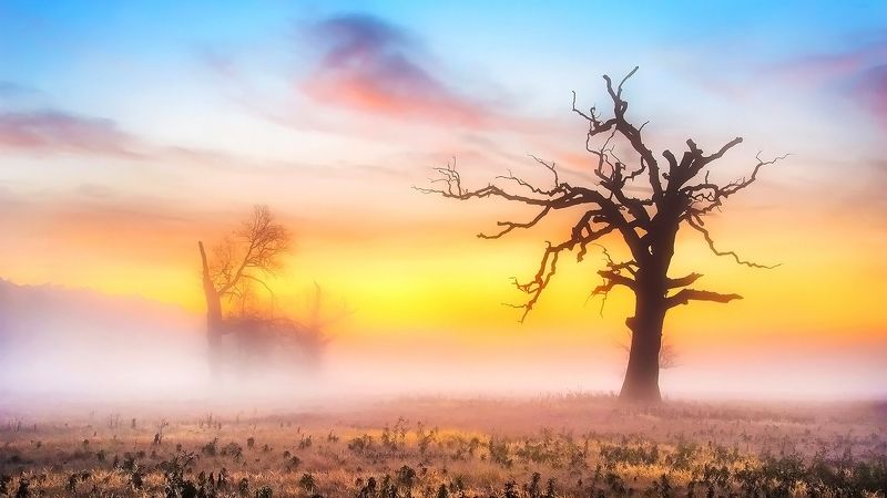 Powiew фото превью