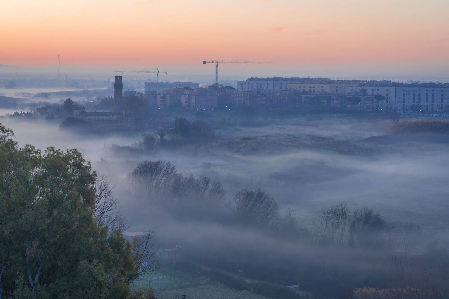 , Максимова Дария