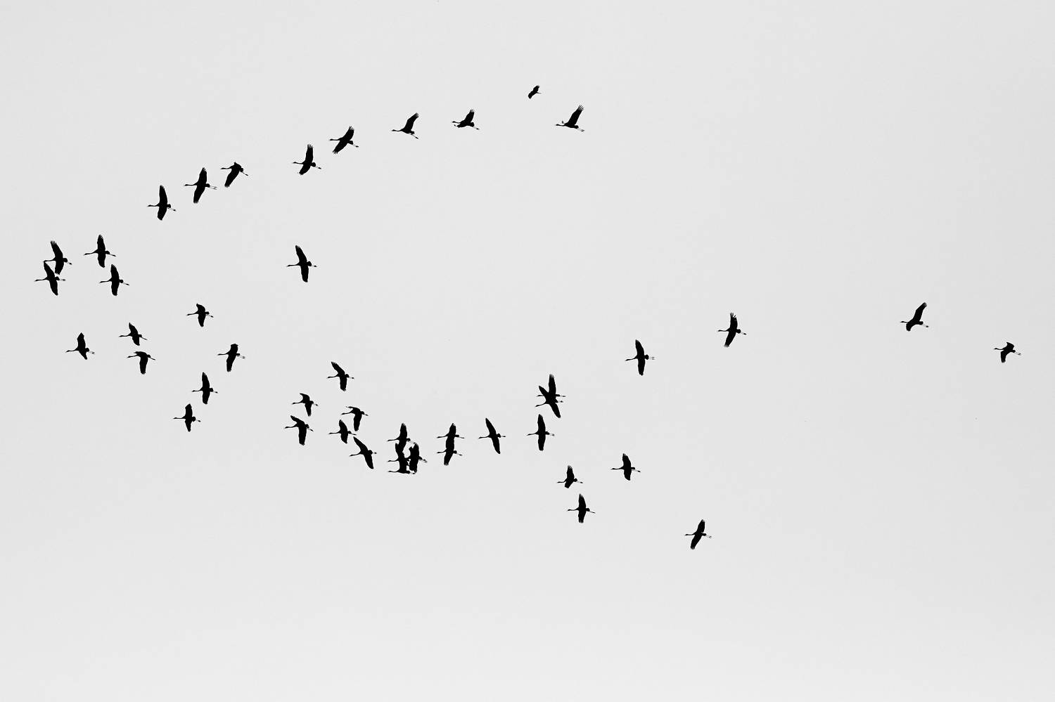 , Гильманов Артур