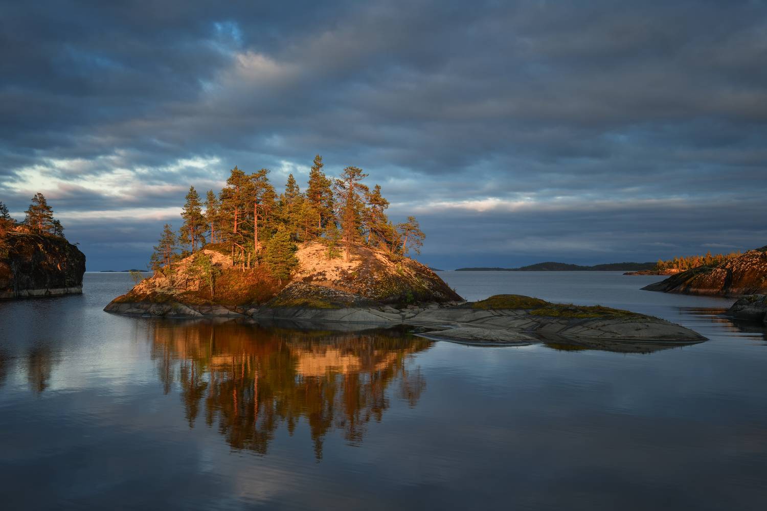 , Максим Евдокимов