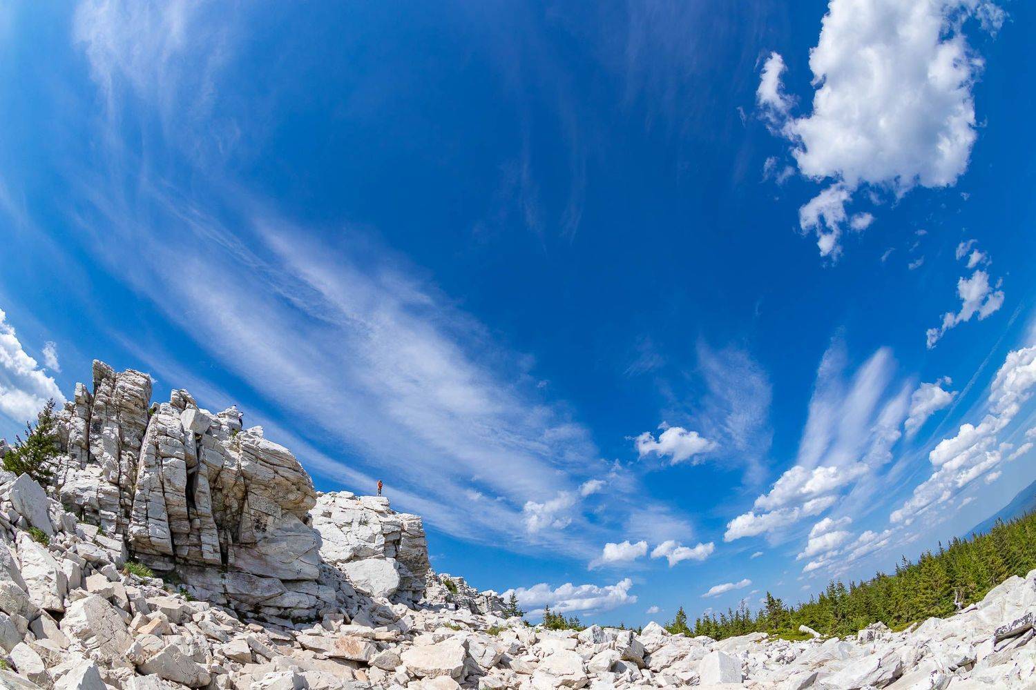 , Алексей Середенин