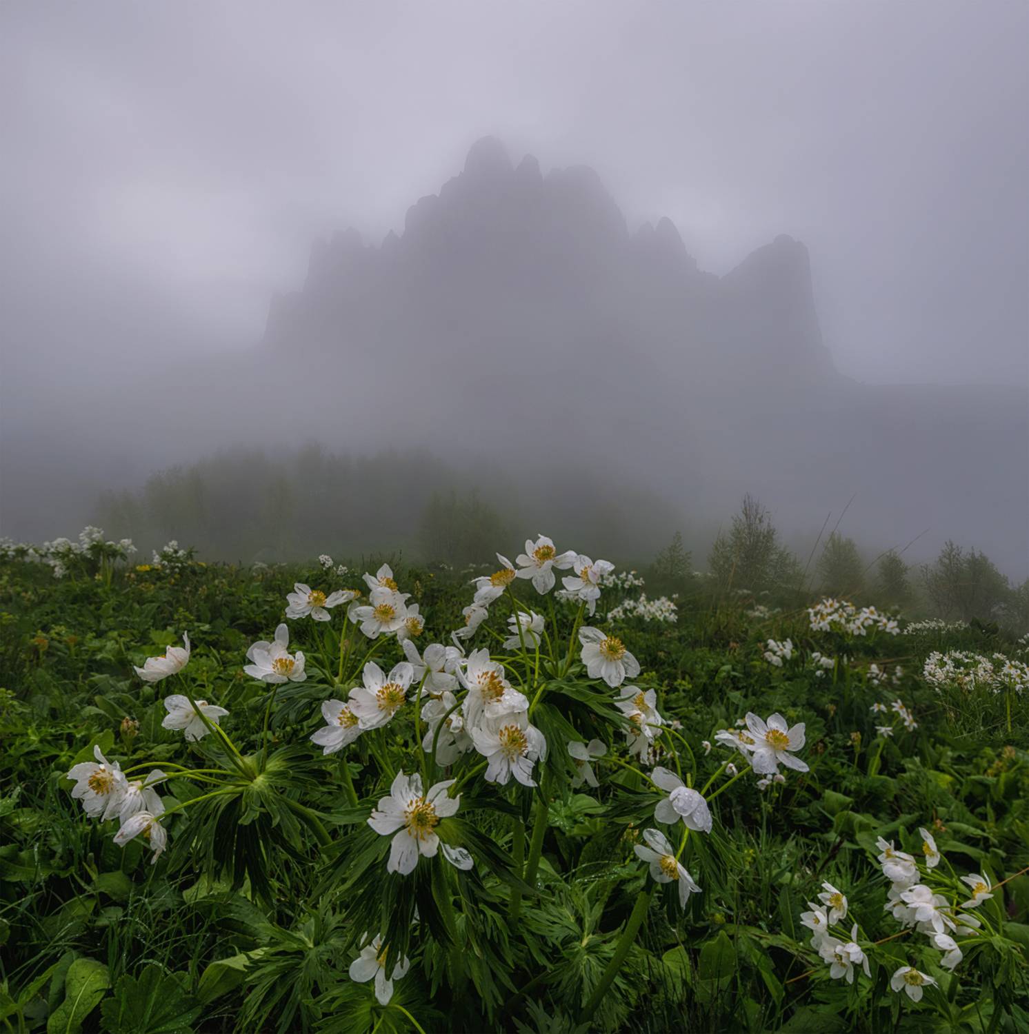 западный кавказ, природный парк большой тхач, Мысливцев Николай