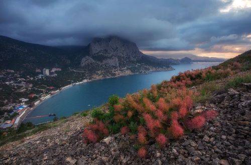 Утро в Новом Свете