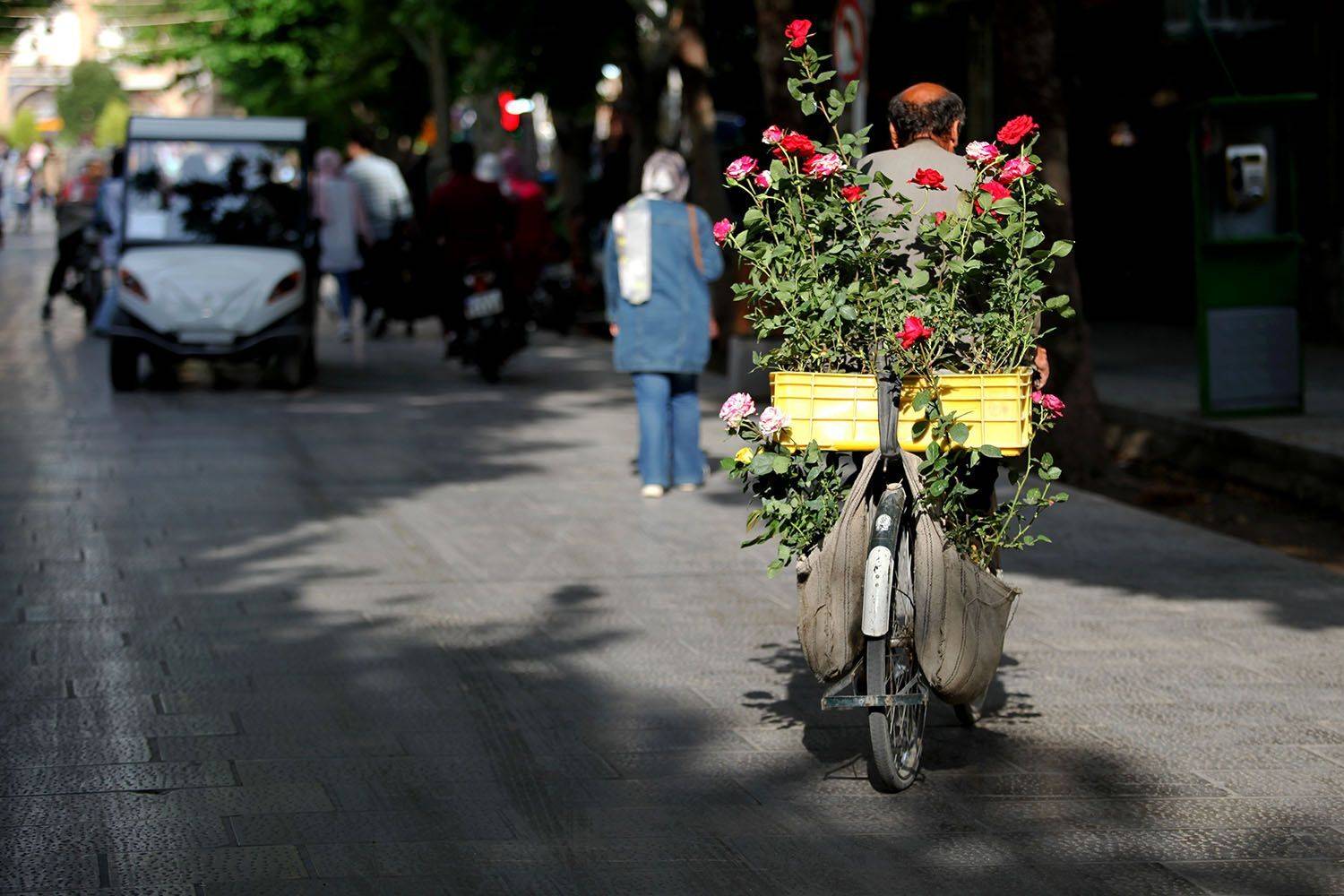 , mehdi karimi souderjani