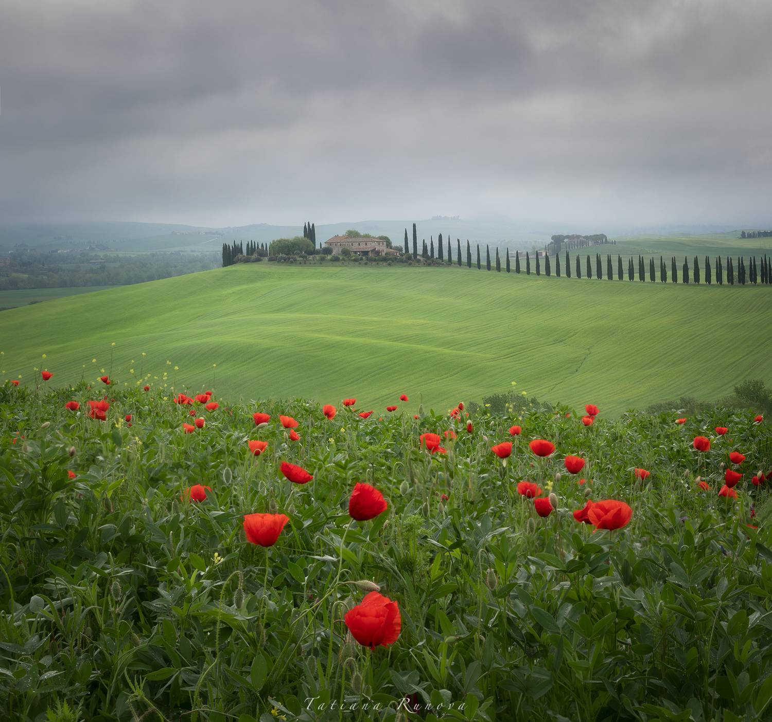 , Рунова Татьяна