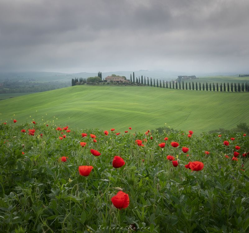 Долина Валь д\'Орча фото превью