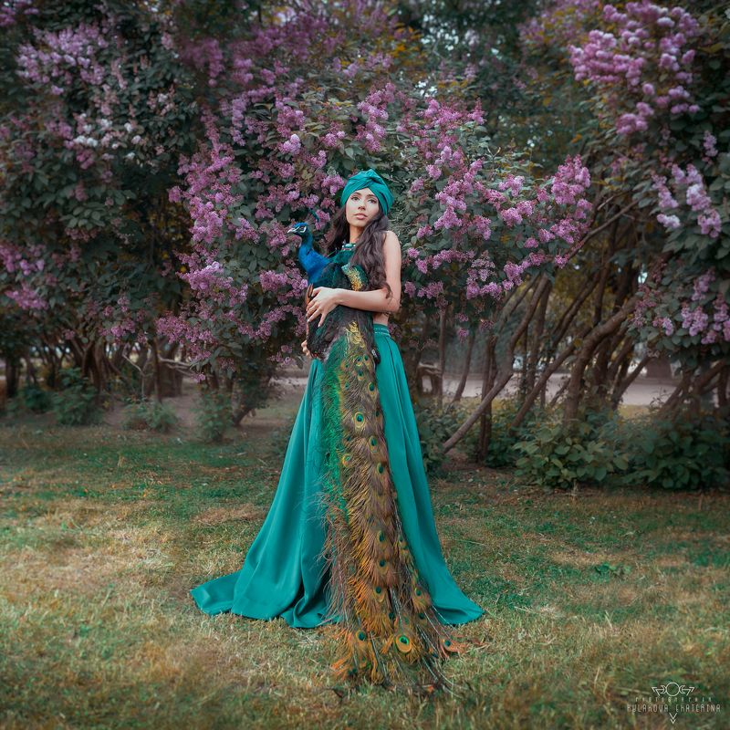 павлин, сирень, сад, garden, восточный стиль, paul  фото превью