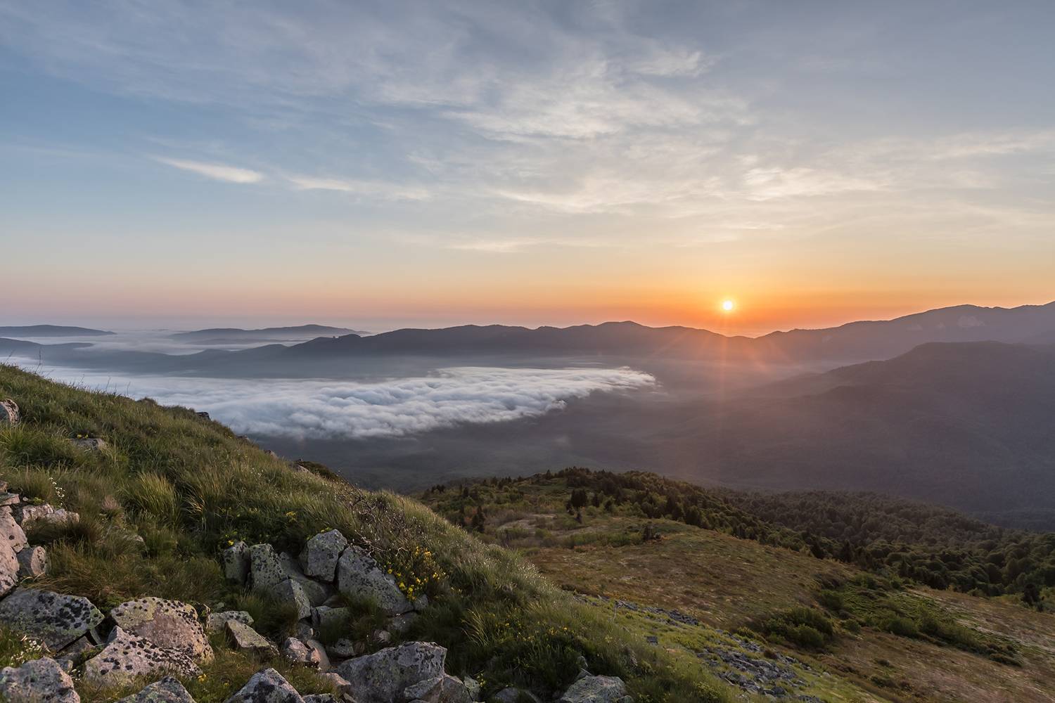 , Илья Михеев