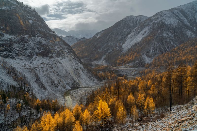 саяны, бурятия, иркут, осень Вид на ущелье Чёрного Иркута фото превью