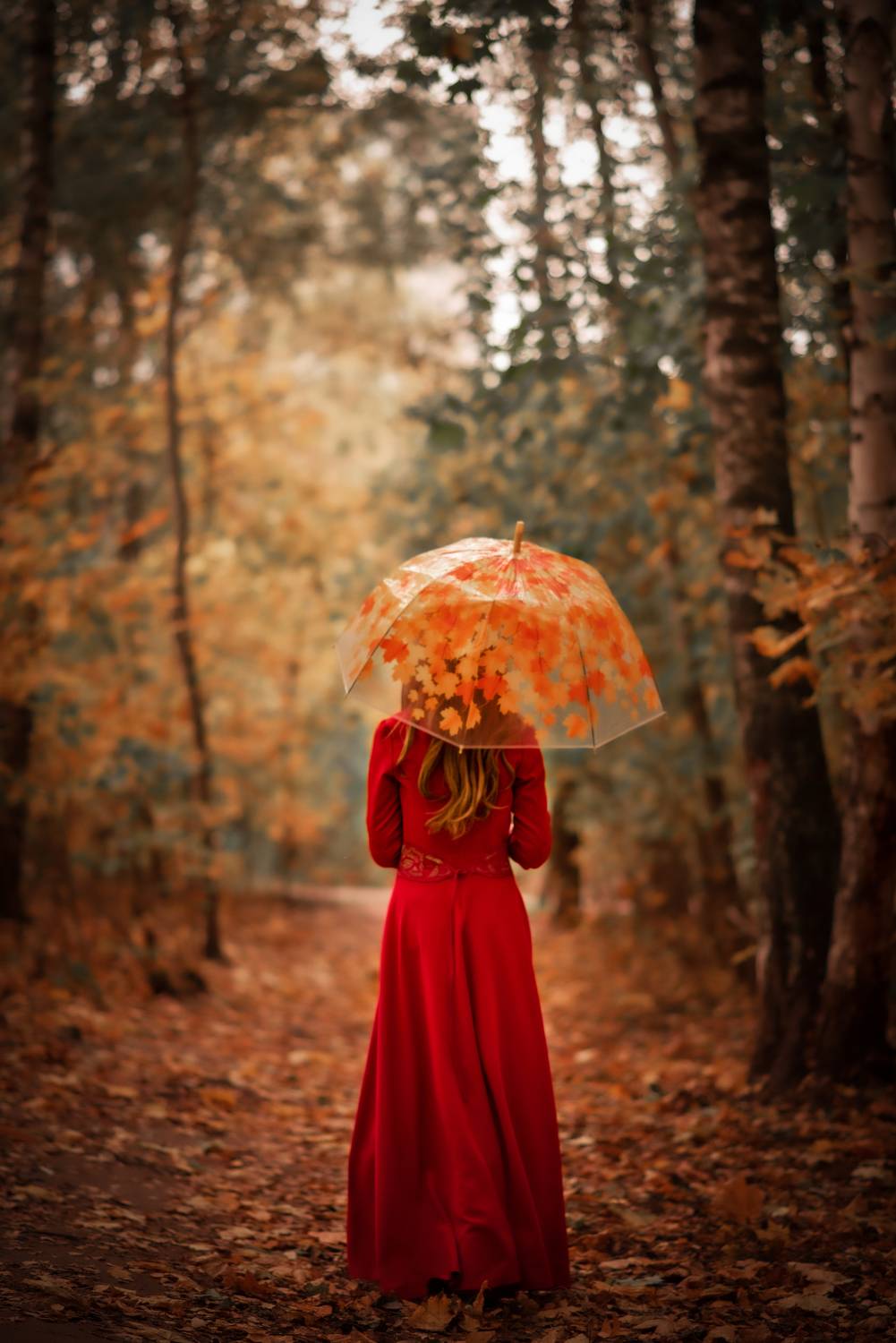 , Боровикова Анна