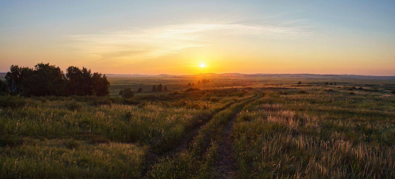 , Дмитрий Цыпляев