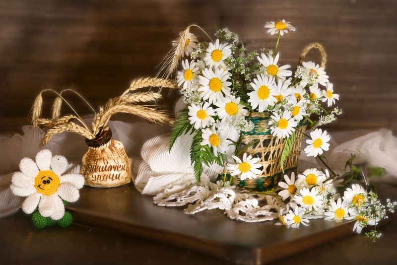 натюрморт, букет, цветы, ромашки, колоски Ромашки фото превью