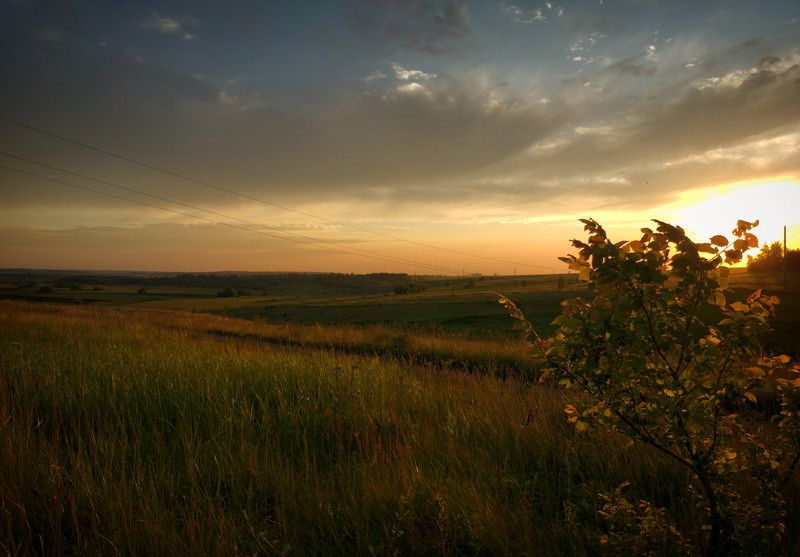 вечер, закат, деревня, пейзаж, лето, луг, цветы Краски летнего вечера. фото превью
