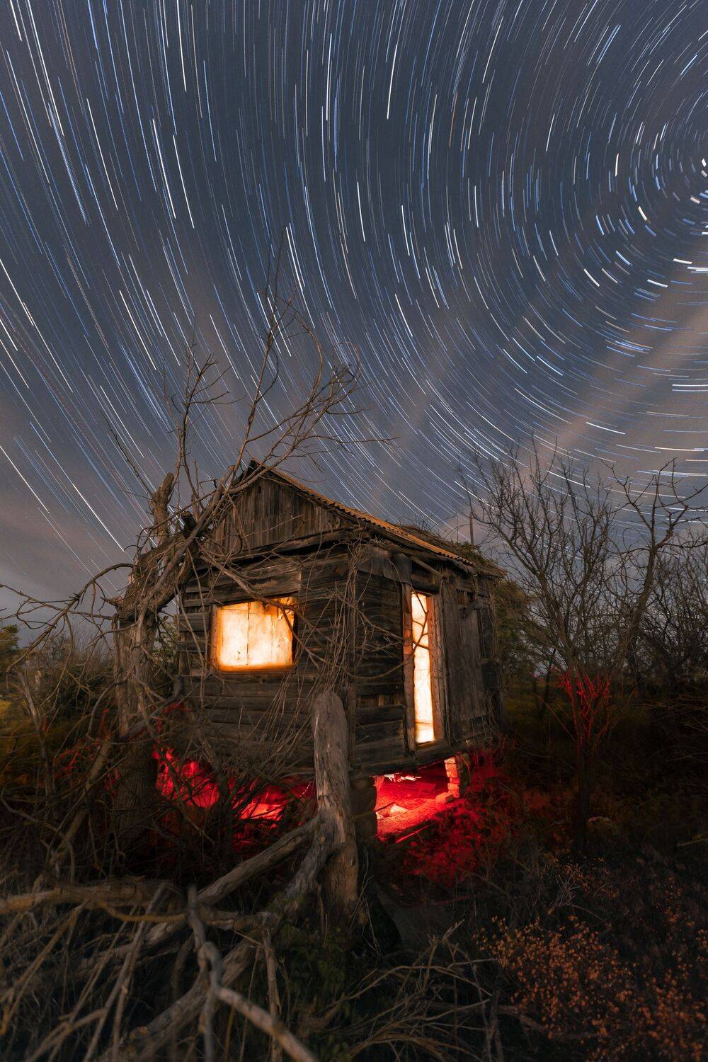 ночь,деревья, дом, звезды, астропейзаж, Рябинин Влад