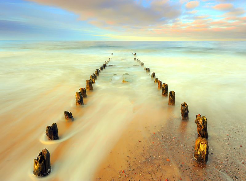 Samotnik фото превью