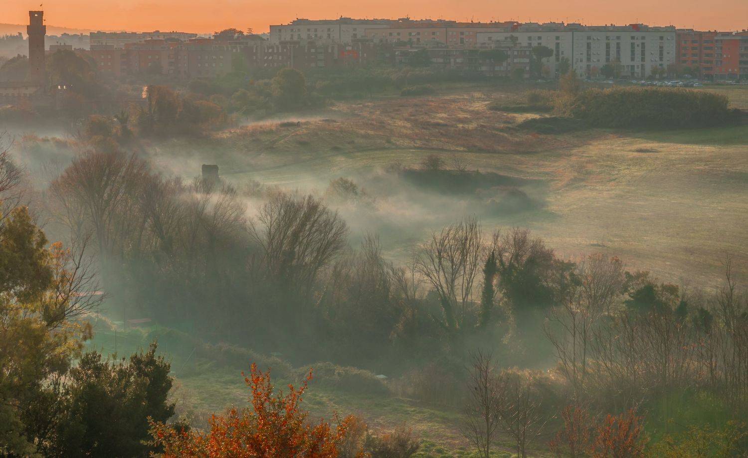 , Максимова Дария