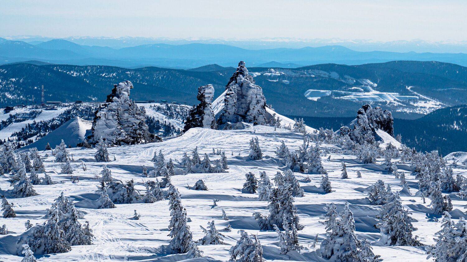 , Немшон Андрей