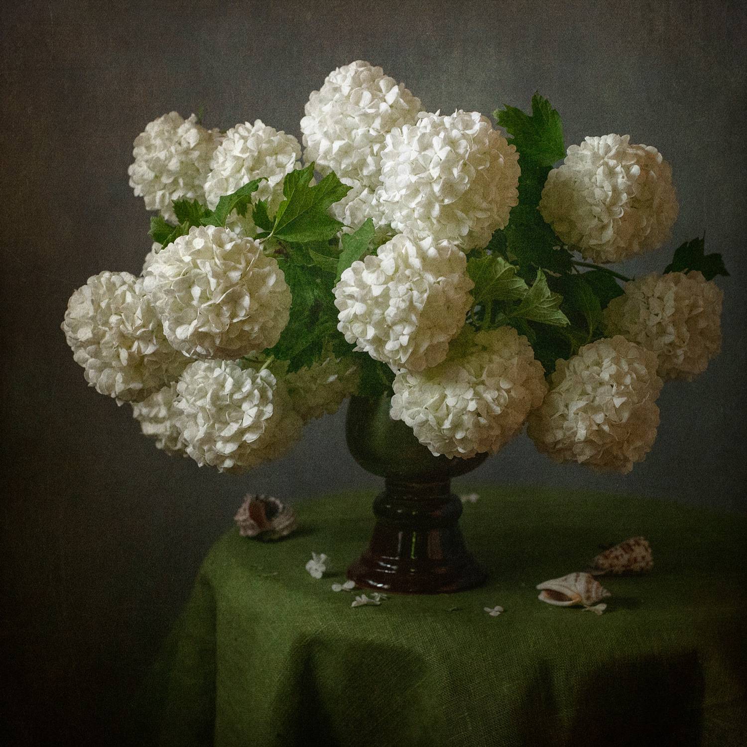 , Рюмина Ляля