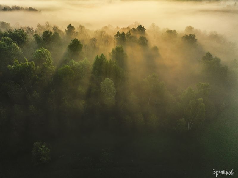 Утренний туман фото превью