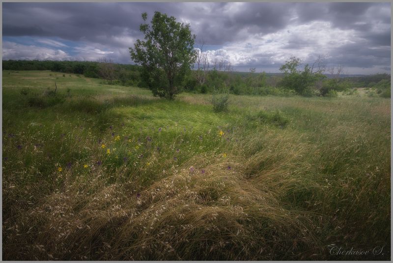 фото превью