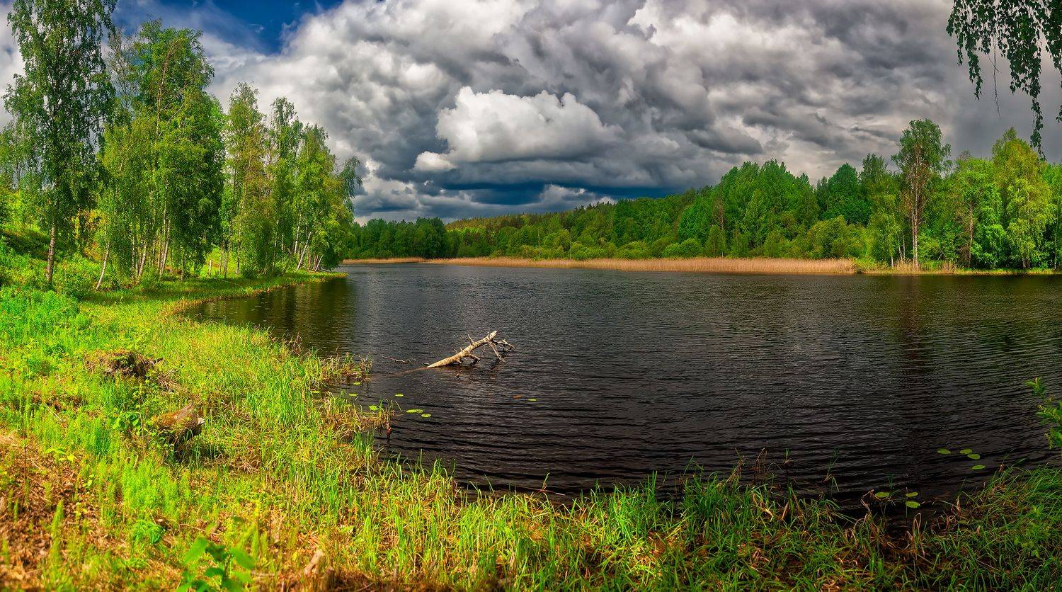 , Павел Жданов