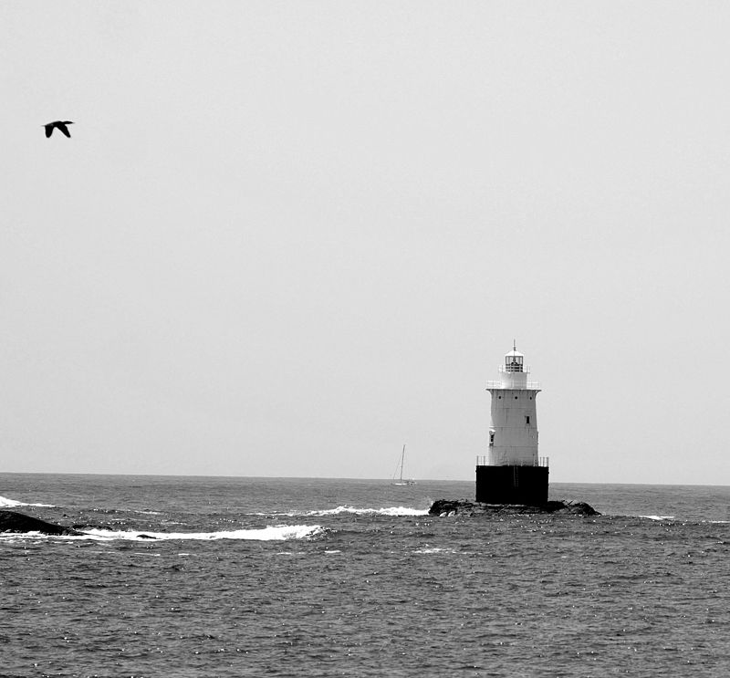 перспектива у воды Своей дорогой (серия) фото превью