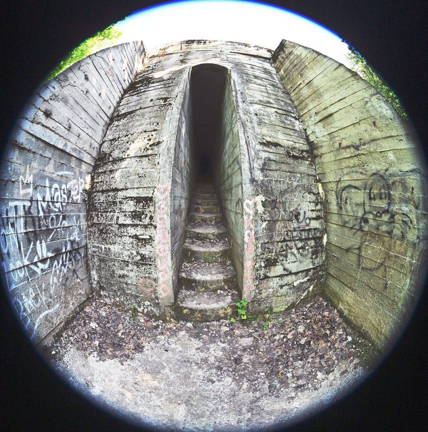 , Меднов Влад