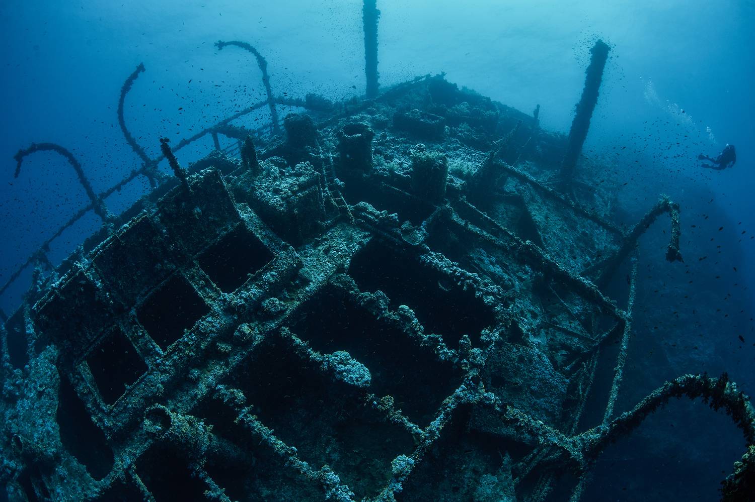 нумидия, рэк, красное море, дайвинг, технодайвинг, подводная фотосъемка, PAVEL PEREPECHAEV