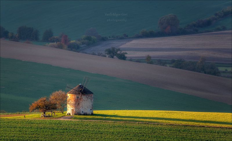южная моравия,пейзаж, ветряк линии,south moravian,windmill,lines,свет,czech,осень,чехия,landscapes,мельница,field Větrný mlýn фото превью