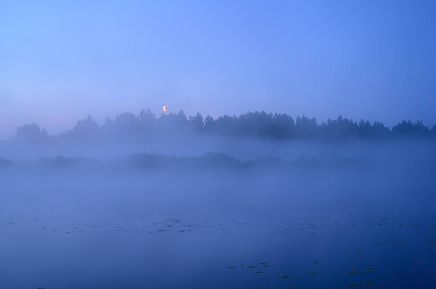 , Лутовкин Артём