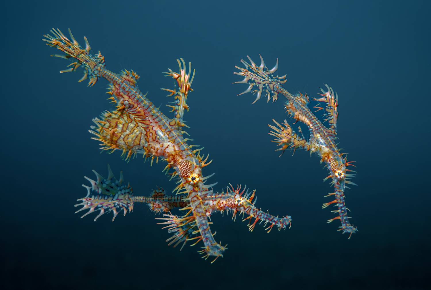 , Савин Андрей