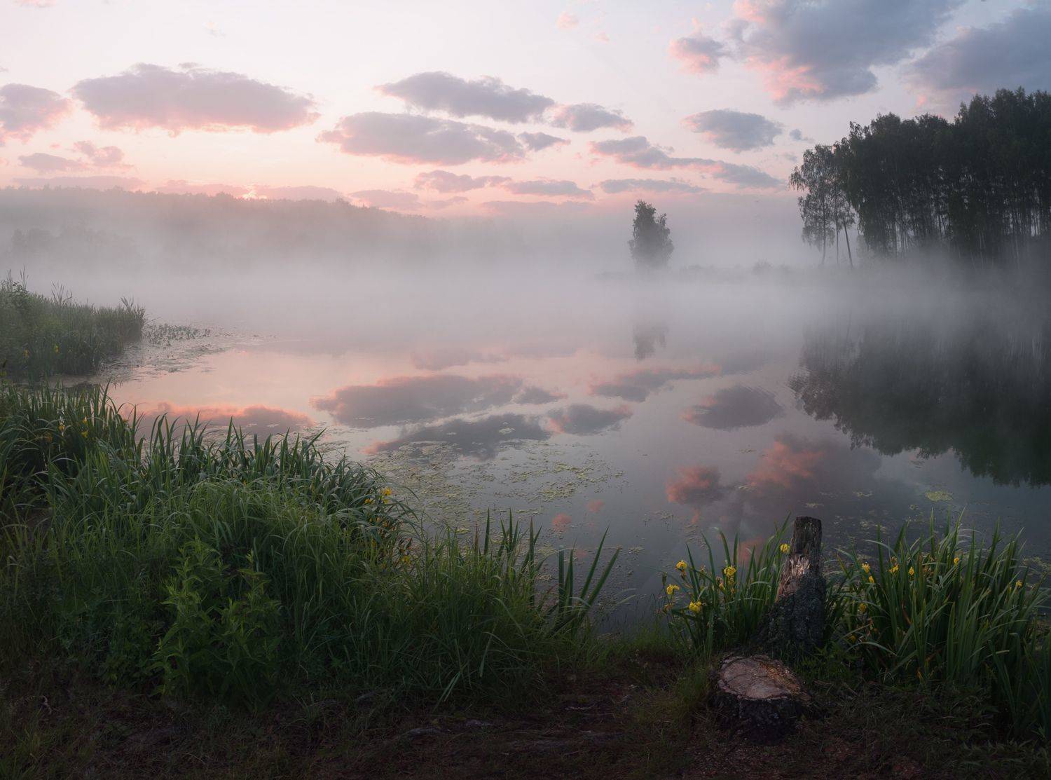 лес, свет, утро, природа рассвет, Баранов Олег