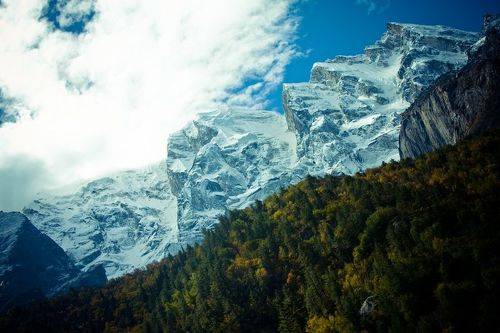 Forest in mountains valley Himalayas