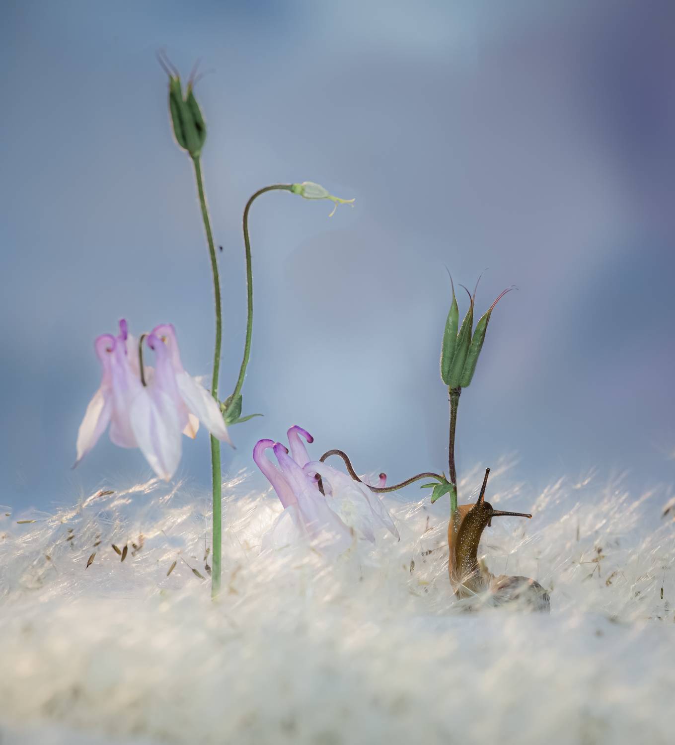 , Черновол Валентин