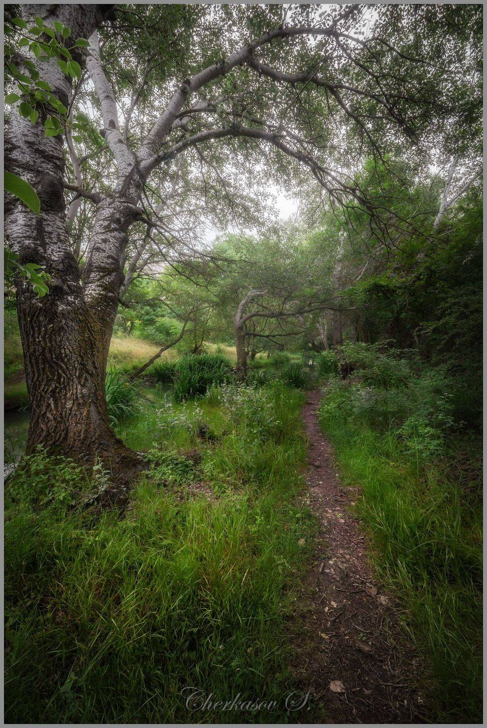 , Черкасов Сергей