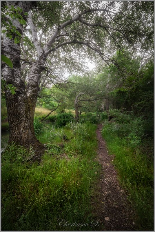 фото превью