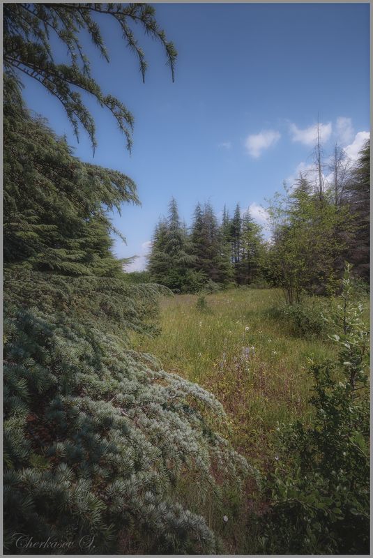 фото превью