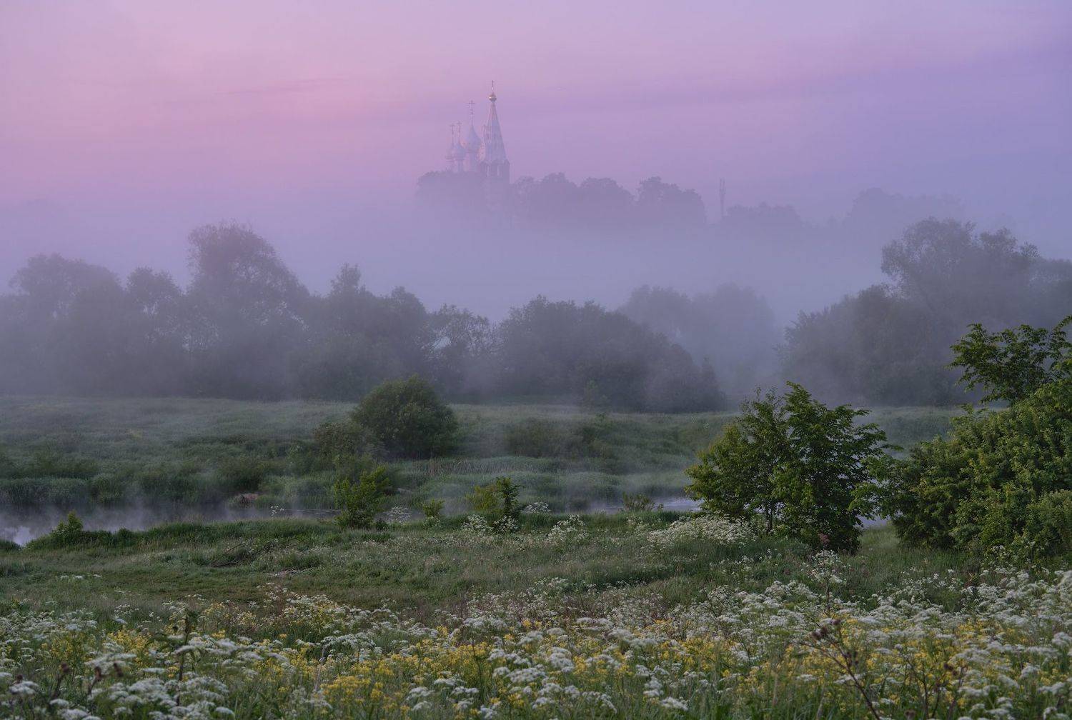 пейзаж,расвет,лето,дунилово,июнь,храм,травы,туман, Горшков Игорь