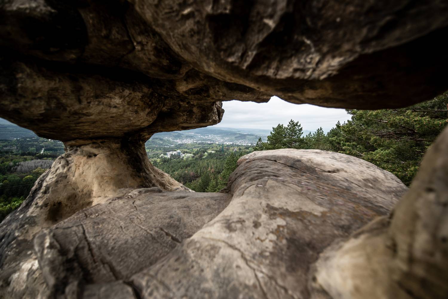 , Дмитрий Величко