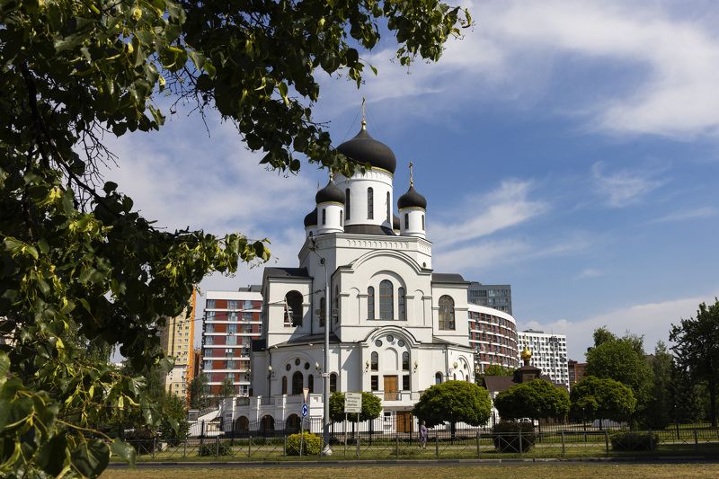 Мытищи, Рождественский собор, лето Доминанта обновления фото превью