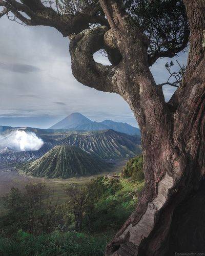 Bromo Indonesia