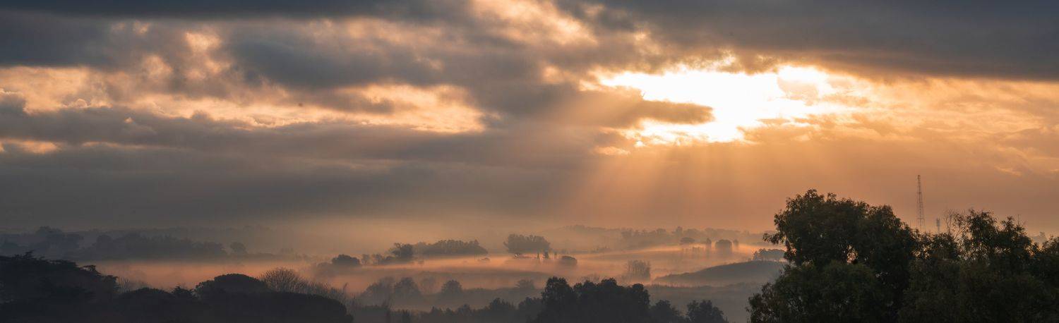, Максимова Дария