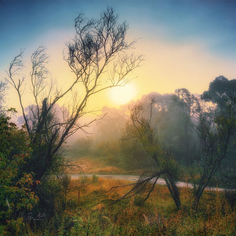 Осенняя фантазия фото превью