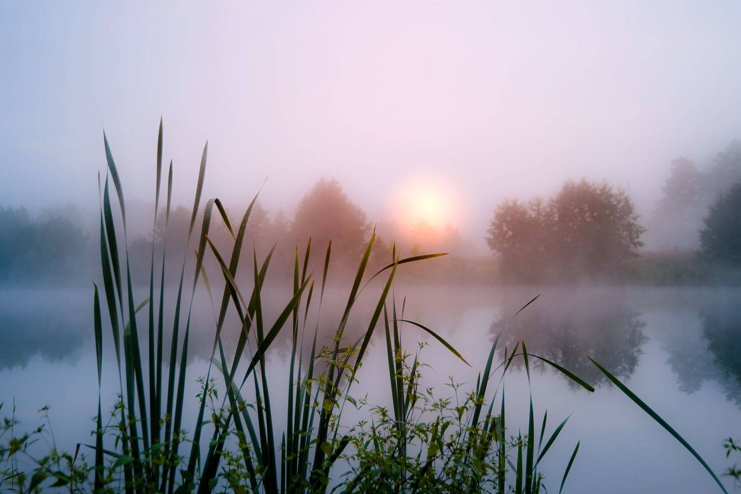 , Владимир Ноздрачев
