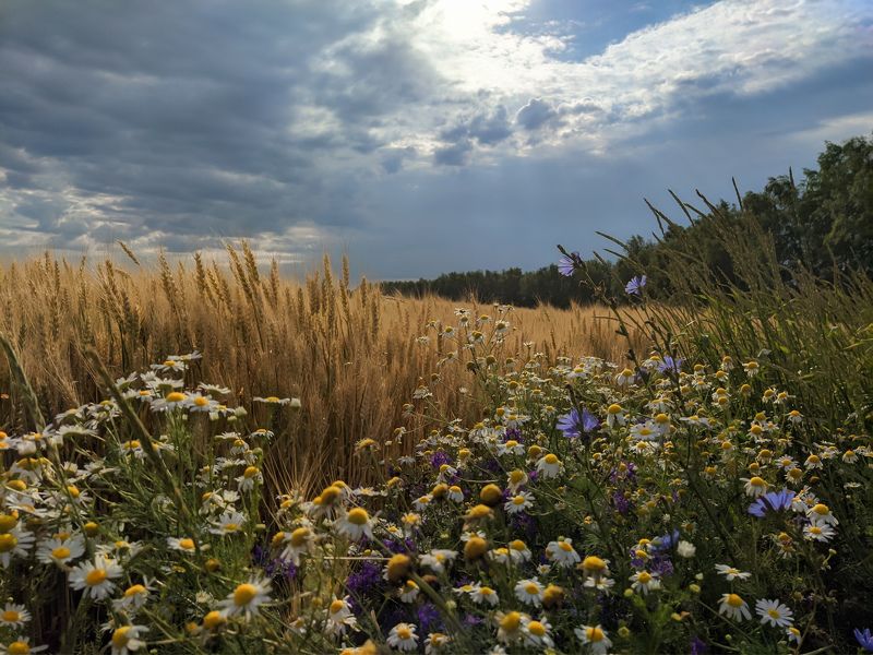 фото превью