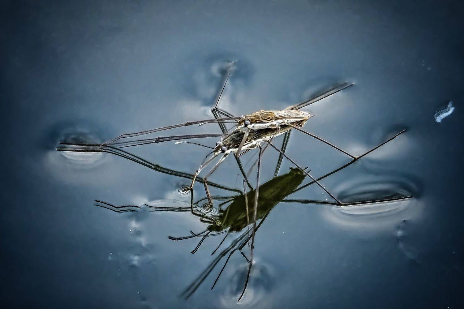 , Савчук Анатолий