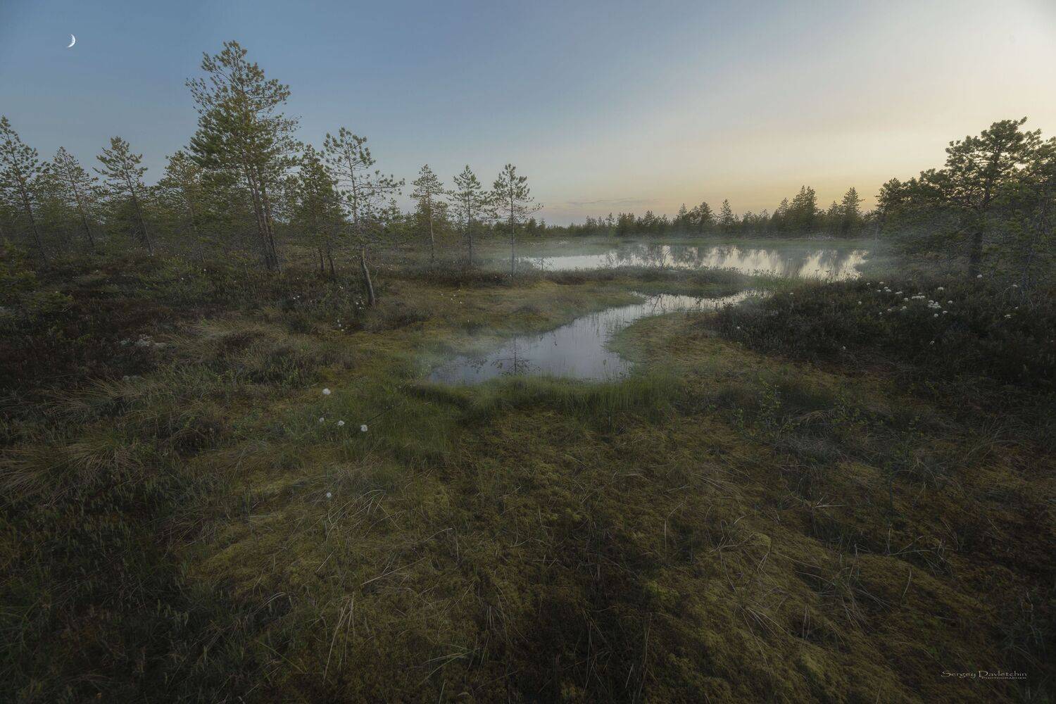 , Сергей Давлетшин