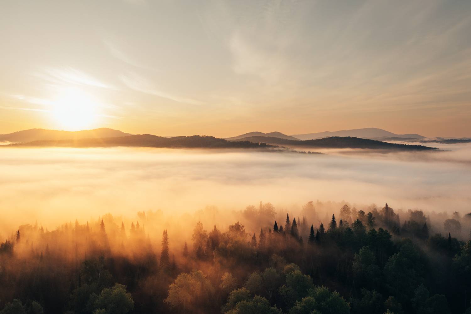 , Виктор Гагарин